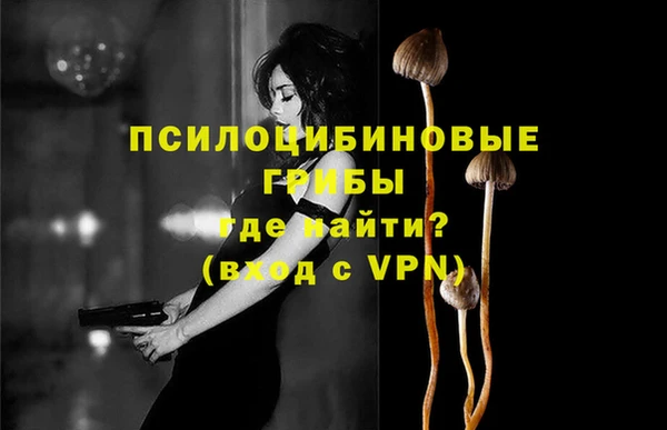прущая мука Тында