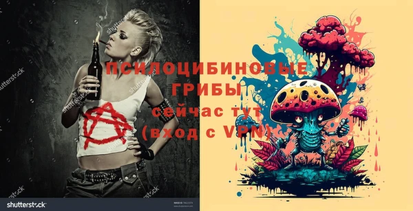 герыч Горняк