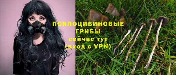 гашишное масло Горнозаводск