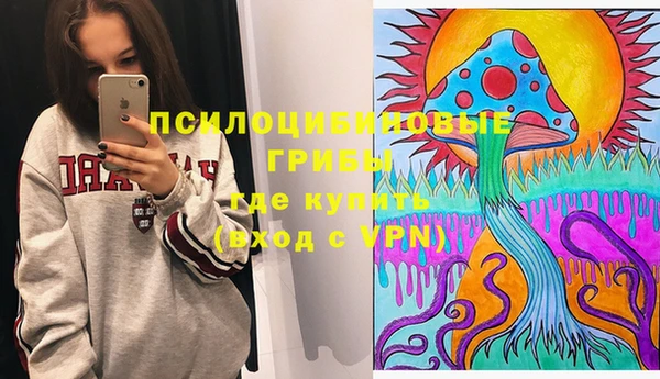 твердый Горно-Алтайск