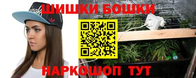 прущие грибы Апшеронск