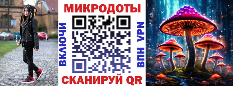 Псилоцибиновые грибы Cubensis Ангарск