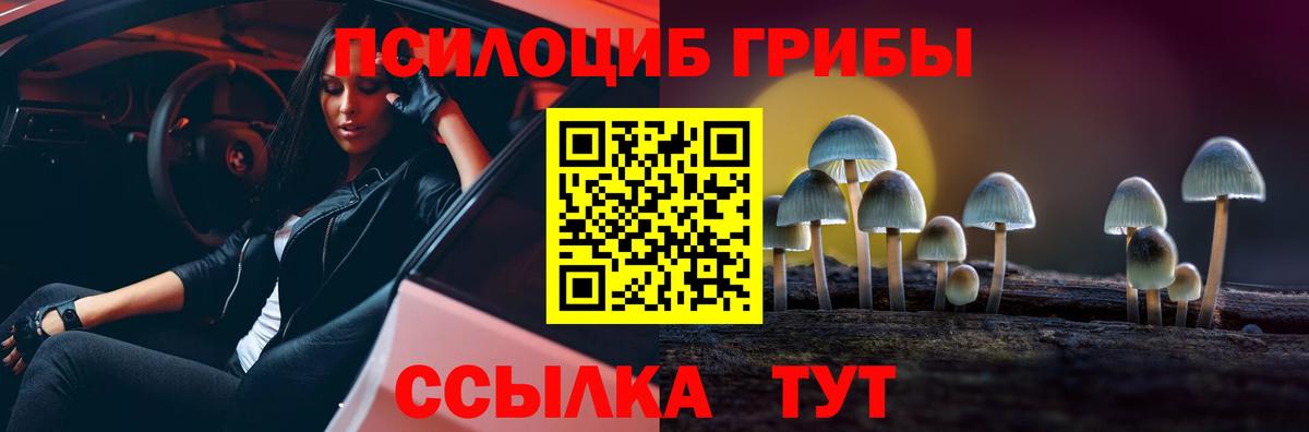 Галлюциногенные грибы Psilocybe  Вход с VPN  Ангарск 
